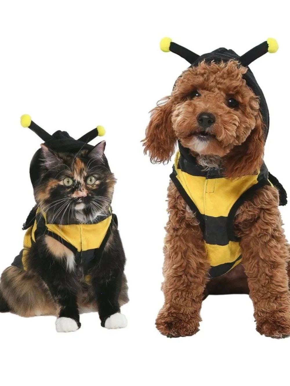 Small Bumblebee Pet Halloween Costume